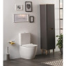 Комплект напольного унитаза VITRA SENTO RIM-EX BACK TO WALL, сиденье тонкое микролифт, механизм 3/6 л 9830B003-7203